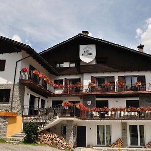 Hotell Millefiori- Alpine Event Lodge